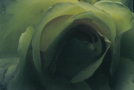 ../Images/bl17.jpg