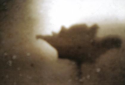 ../Images/bl5.JPG