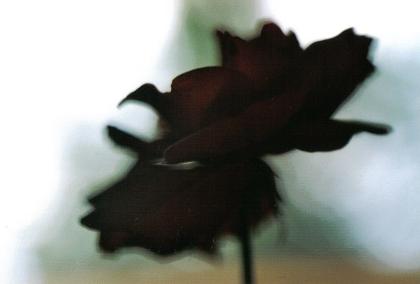 ../Images/bl6.JPG