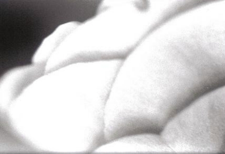 ../Images/bw1.jpg