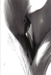 ../Images/bw4.jpg