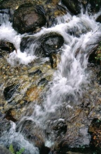../Images/nature3.jpg