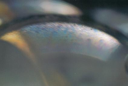 ../Images/poes11.JPG