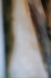 ../Images/poet8.jpg