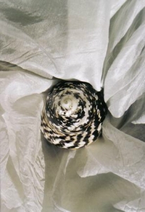 ../Images/se14.jpg