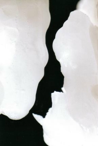 ../Images/se23.jpg