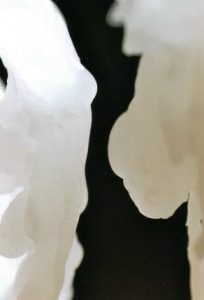 ../Images/se25.jpg