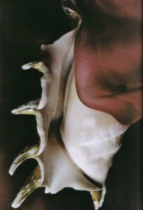 ../Images/se5.jpg