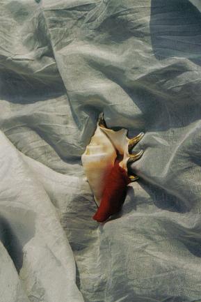 ../Images/si8.JPG