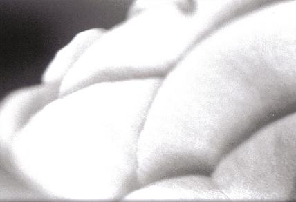 ../Images/sw1.JPG