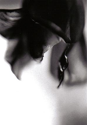 ../Images/sw3.JPG