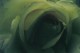 Thumbs/tn_fl17.jpg