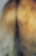 Thumbs/tn_se22.jpg